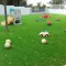 Crèche de Montady