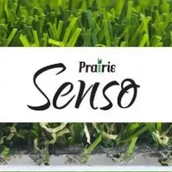 prairie_senso.webp