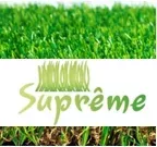 supreme_0.webp