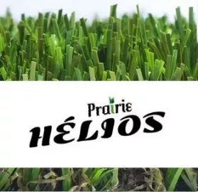 prairie_helios_bis_0.webp